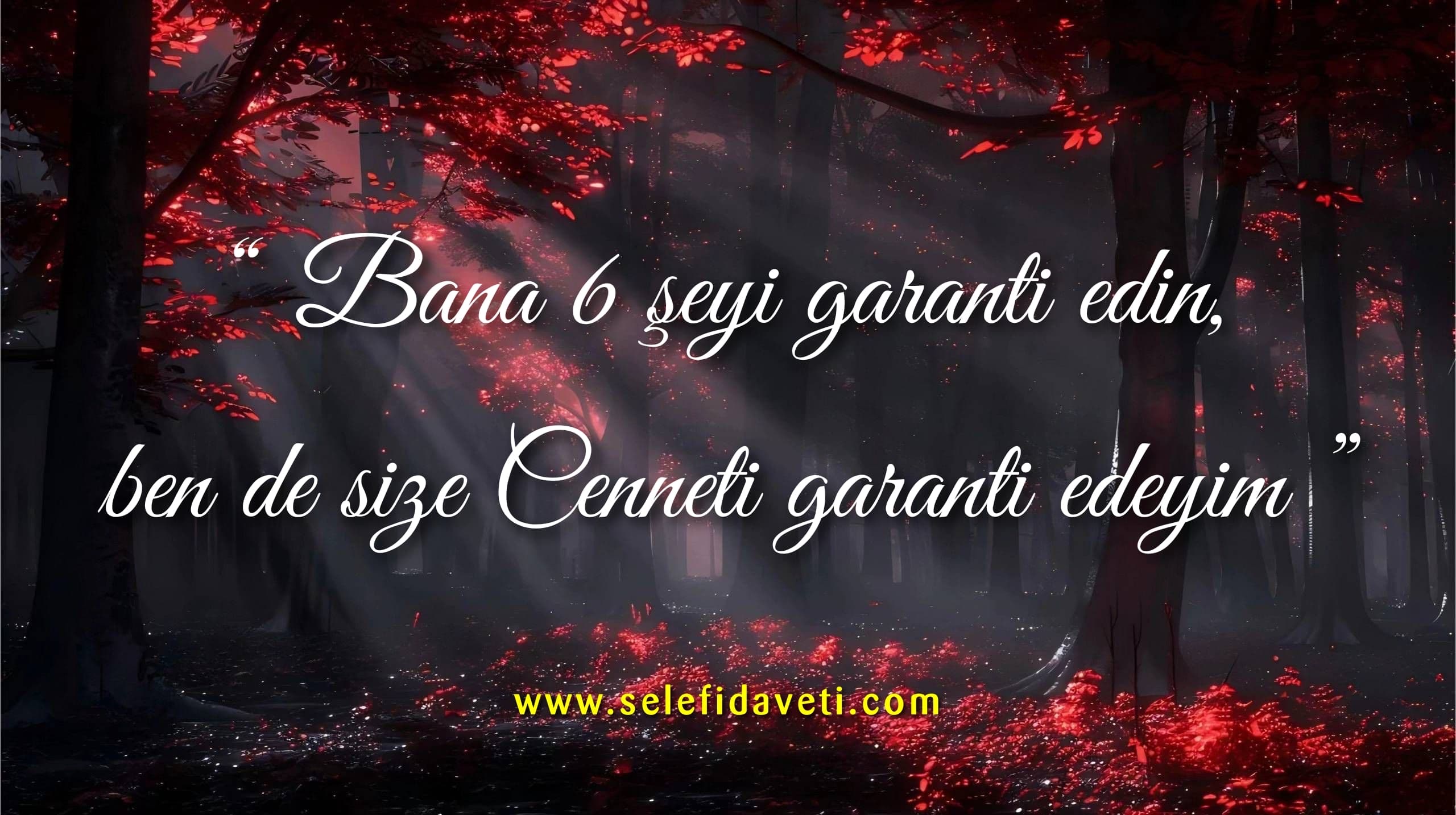 Bana 6 şeyi garanti edin ….